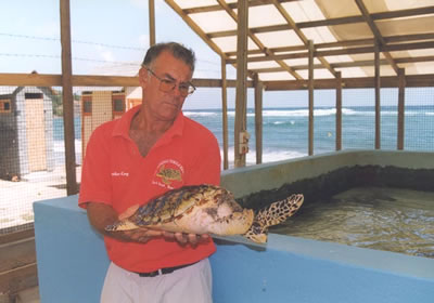 Brother King and Hawksbill turtle